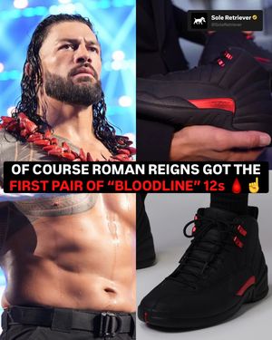Image post by @soleretriever on Instagram