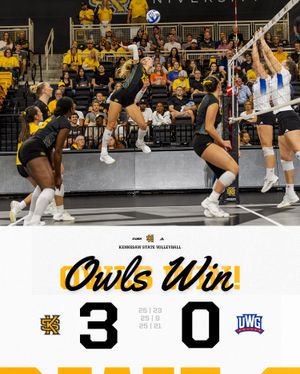 Image post by @ksuowlsvb on Instagram