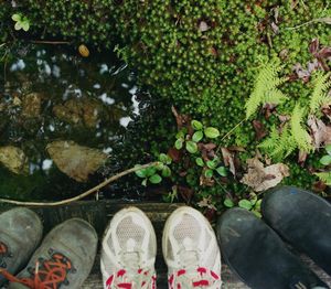 Image post by @camilleshaw on Instagram