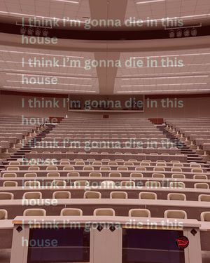 Image post by @ucincychicks on Instagram