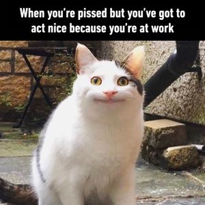 Image post by @9gag on Instagram