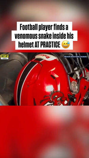 Video post by @getupespn on TikTok