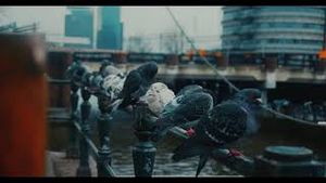 Video post by @now_productions_ on YouTube