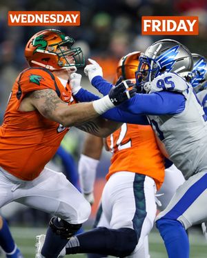 Image post by @xflseadragons on Instagram