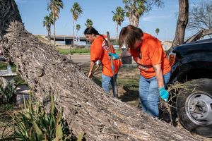 Image post by @utrgv on Instagram