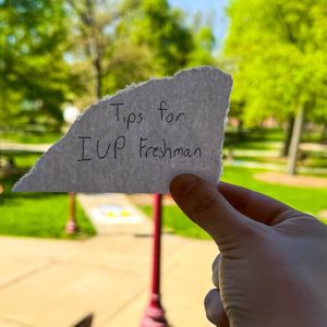 Image post by @iupedu on Instagram