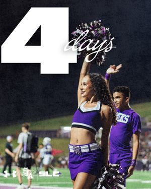 Image post by @sfa_danceteam on Instagram