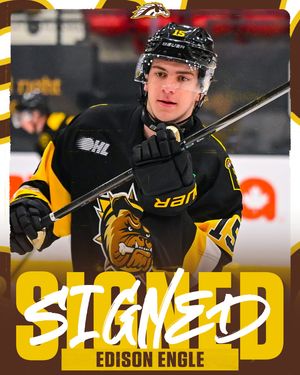 Image post by @wmu_hockey on Instagram