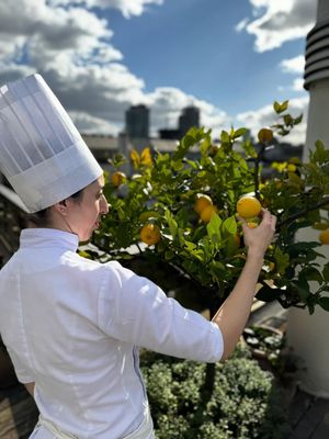 Image post by @hotelmadero on Instagram