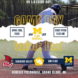 Image post by @umflint_club_baseball on Instagram