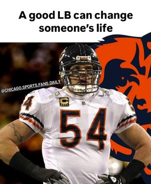 Image post by @chicago.sports.fans.daily on Instagram