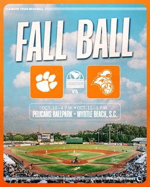 Image post by @clemsonbaseball on Instagram