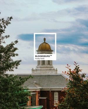 Image post by @bloomsburgu on Instagram