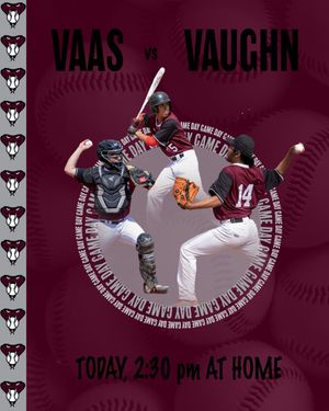 Image post by @vaasbaseball on Instagram