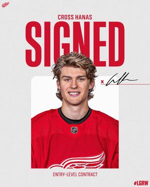 Image post by @detroitredwings on Instagram