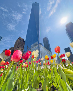 Image post by @explorewtc on Instagram