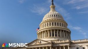 Video post by @msnbc on YouTube