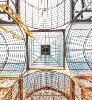 Image post by @ednek on Instagram