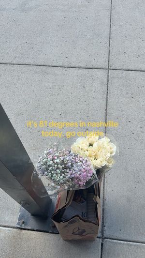 Video post by @alyssiaatienne on TikTok
