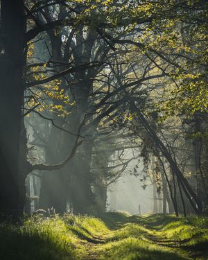 Image post by @tanczacachmura on Instagram
