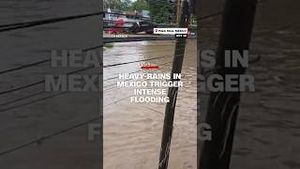 Video post by @cnn on YouTube