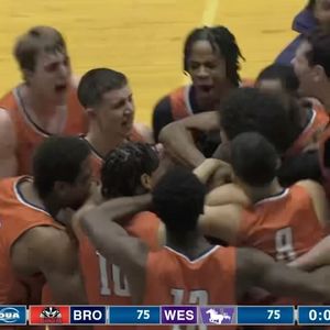 Image post by @brockbadgers on Instagram