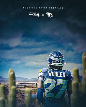 Image post by @seahawks on Instagram