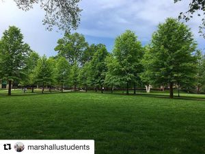 Image post by @marshallu on Instagram