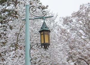 Image post by @michiganstateu on Twitter