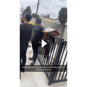 Video post by @anawigmore on Snapchat