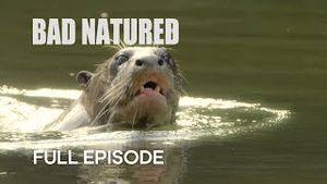 Video post by @bbcearth on YouTube