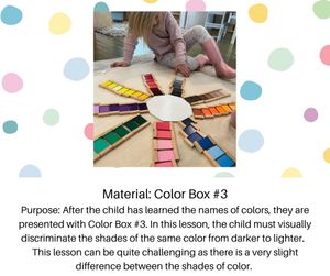 Image post by @mindsproutmontessori on Instagram