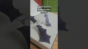 Video post by @kiwico on YouTube