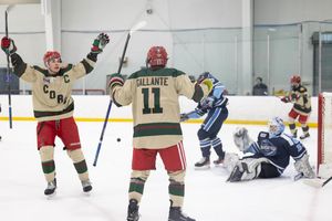 Image post by @easternhockeyleague on Instagram