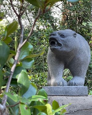 Image post by @ucberkeleylife on Instagram