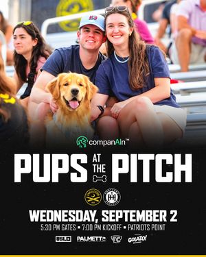 Image post by @charlestonbattery on Instagram