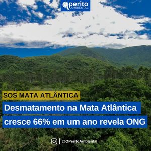 Image post by @operitoambiental on Instagram