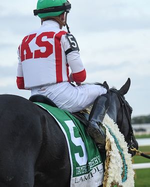 Image post by @coolmoreamerica on Instagram