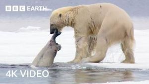 Video post by @bbcearth on YouTube
