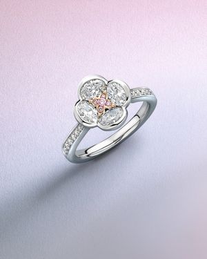 Image post by @boodles on Instagram
