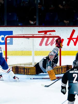 Image post by @whlgiants on Instagram