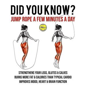 Image post by @thetrainingmanual on Instagram