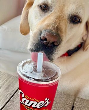 Image post by @raisingcane3 on Instagram