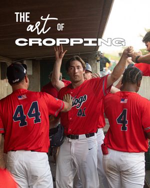 Image post by @saltdogsball on Instagram