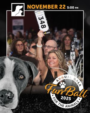 Image post by @spokhumanesoc on Instagram