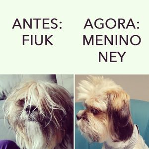 Image post by @erikanonatoarquiteta on Instagram
