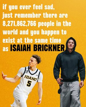 Image post by @vandalhoops on Instagram