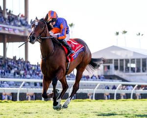 Image post by @breederscup on Instagram