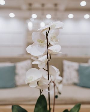 Image post by @shepherdhotels on Instagram