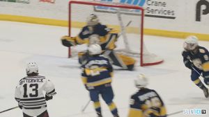 Video post by @HockeySuperLeague on Facebook